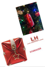 Load image into Gallery viewer, Stargazer Pouch Pdf Pattern $3.95-Free With Hardware Purchase