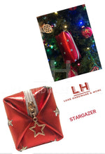 Load image into Gallery viewer, Stargazer Pouch Pdf Pattern $3.95-Free With Hardware Purchase